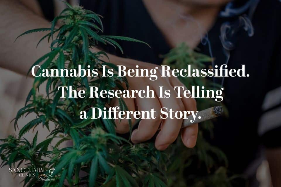 Cannabis Is Being Reclassified. The Research Is Telling a Different Story.