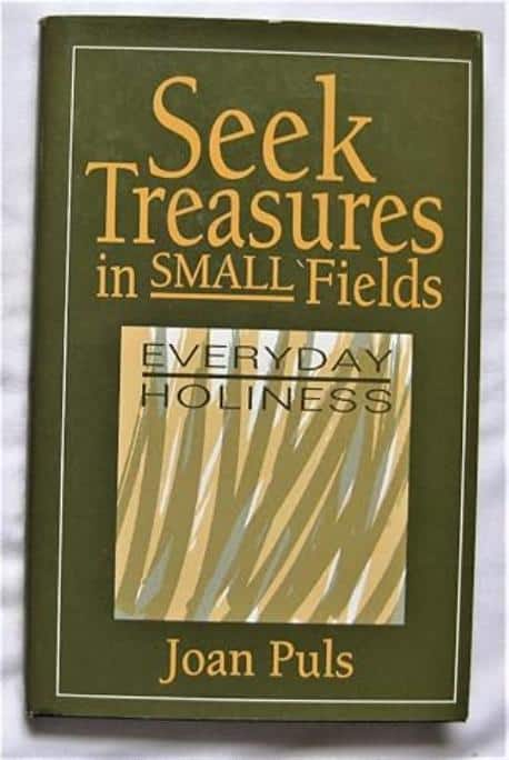 Seek Treasures in Small Fields