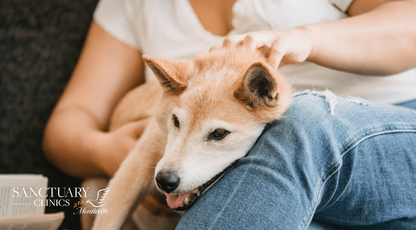 Companion animal in recovery at a pet-friendly residential treatment program