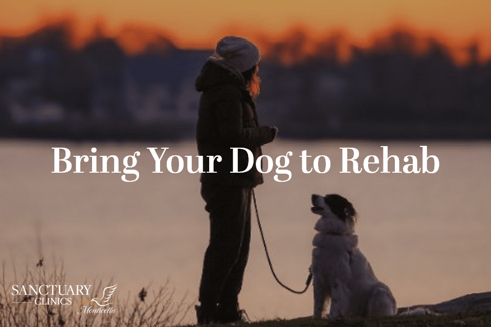 Bring Your Dog to Rehab: Pet-Friendly Residential Treatment at Sanctuary Clinics Honey Lake